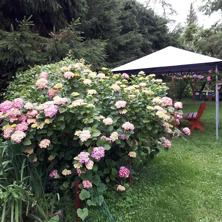 Goscinne Pod Knotem Accommodatie bij particulieren *