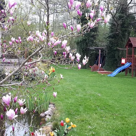 Goscinne Pod Knotem * Karwienskie Bloto Drugie