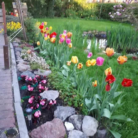 Goscinne Pod Knotem Accommodatie bij particulieren Karwienskie Bloto Drugie