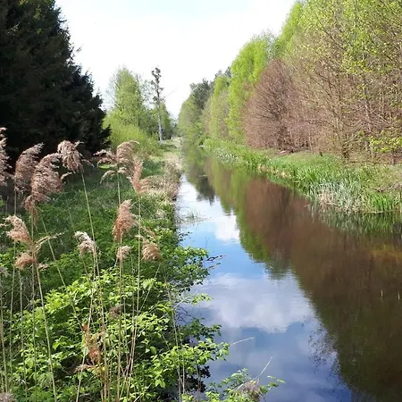 Goscinne Pod Knotem * Karwienskie Bloto Drugie