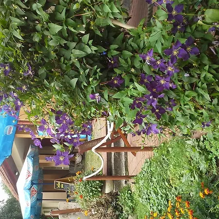 Alloggio in famiglia Goscinne Pod Knotem *