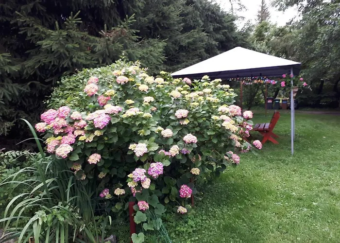 Goscinne Pod Knotem בית אירוח *