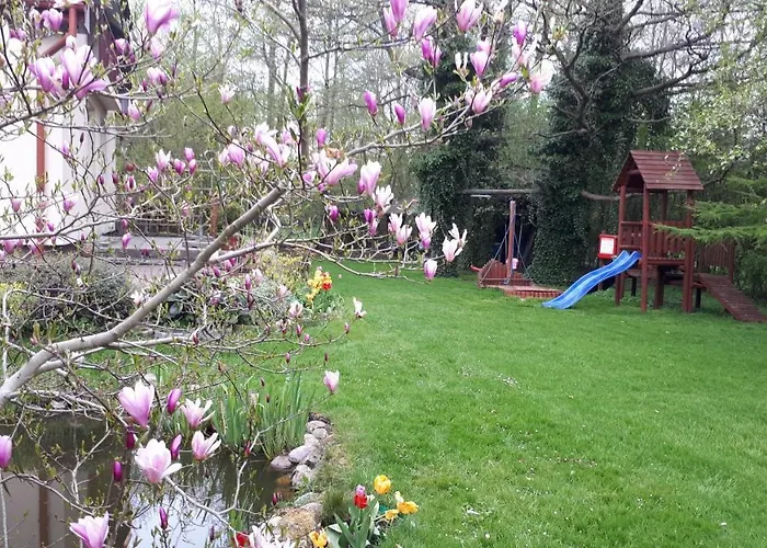 Goscinne Pod Knotem * Karwienskie Bloto Drugie