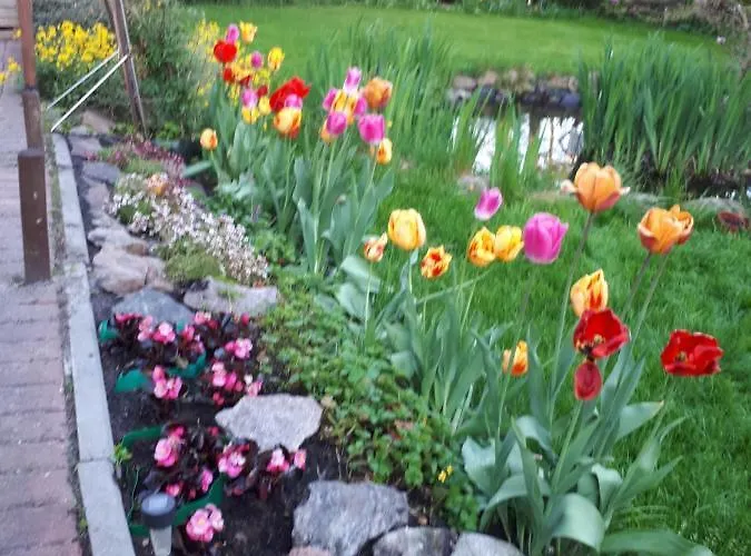 Goscinne Pod Knotem בית אירוח Karwienskie Bloto Drugie