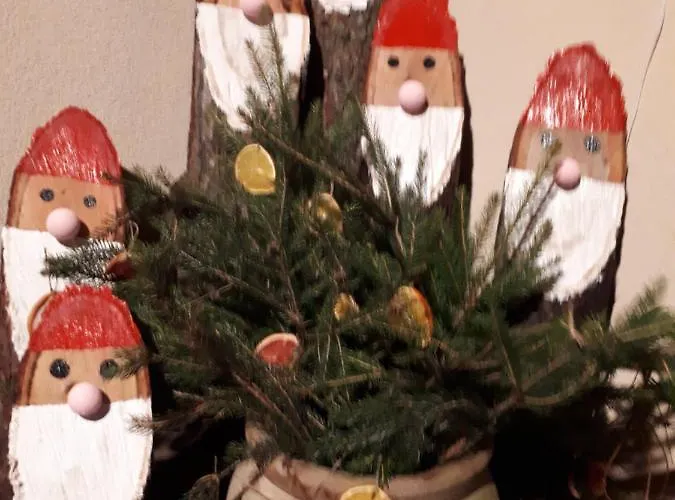 Goscinne Pod Knotem * Karwienskie Bloto Drugie