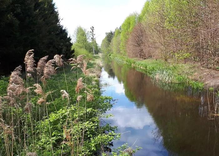 Goscinne Pod Knotem * Karwienskie Bloto Drugie