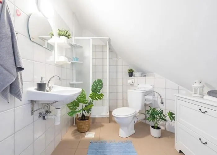 Goscinne Pod Knotem *