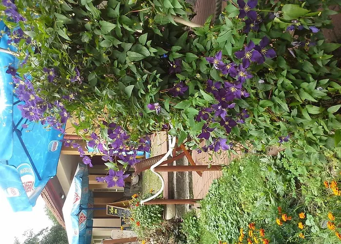 בית אירוח Goscinne Pod Knotem *